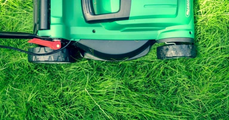 5 Reasons Electric Lawn Mowers Cut Out
