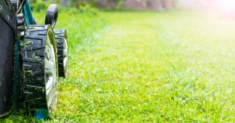 Is It OK to Mow Wet Grass?