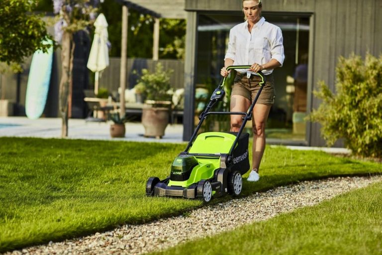 10 Best Electric Lawn Mowers For Small Yards