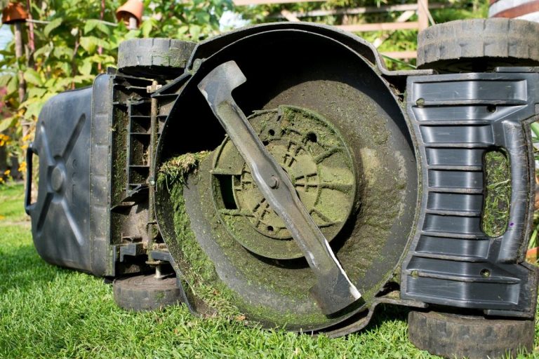 How To Clean The Top & Bottom Of An Electric Lawn Mower